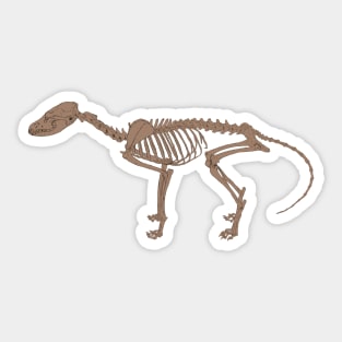 Fox Skeleton Fossilized Sticker